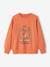 Jungen Sweatshirt mit Print BASIC Oeko-Tex - aprikose+beige meliert+graublau+pistaziengrün - 1