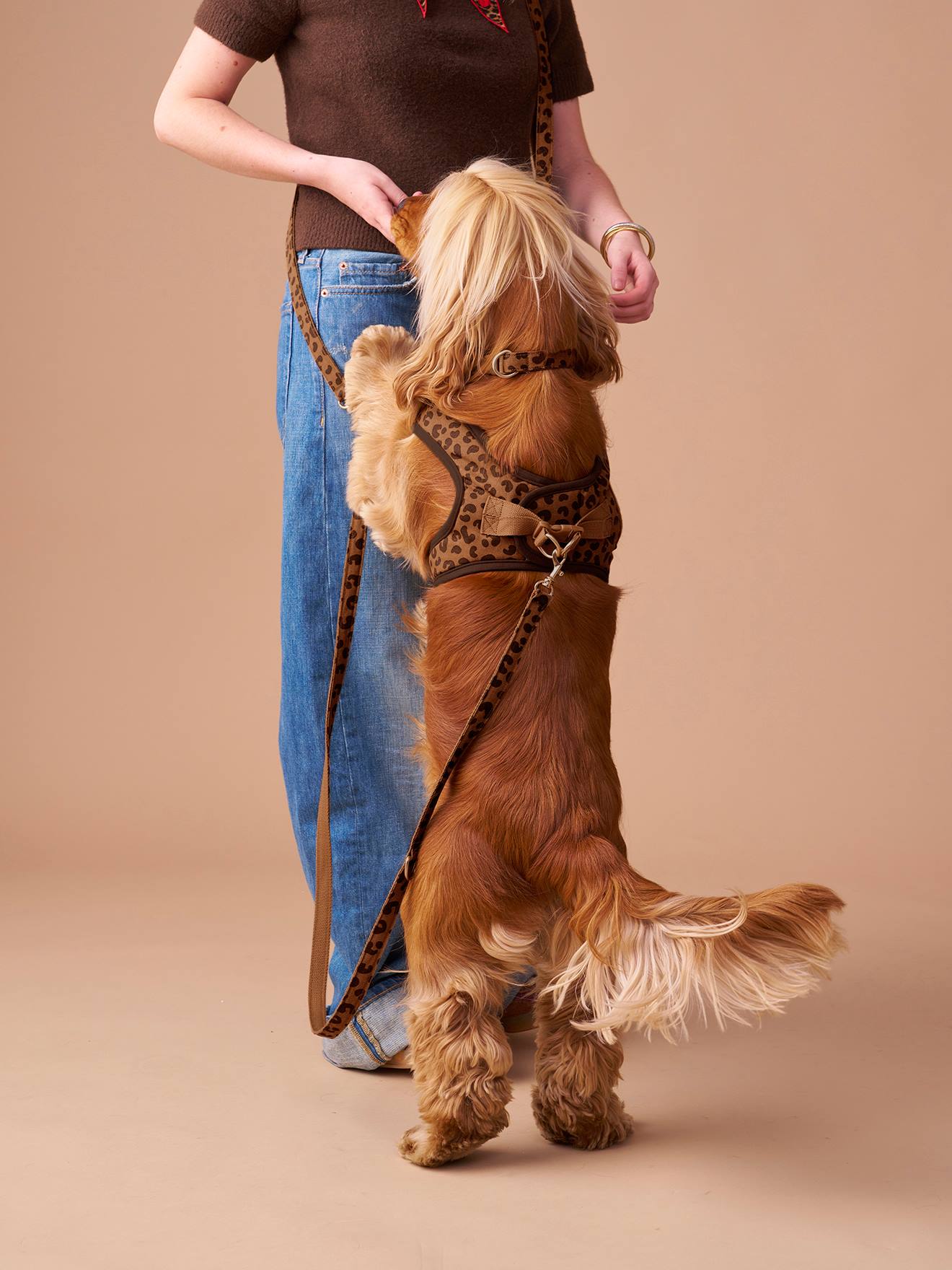 Thumbnail - Set aus Geschirr