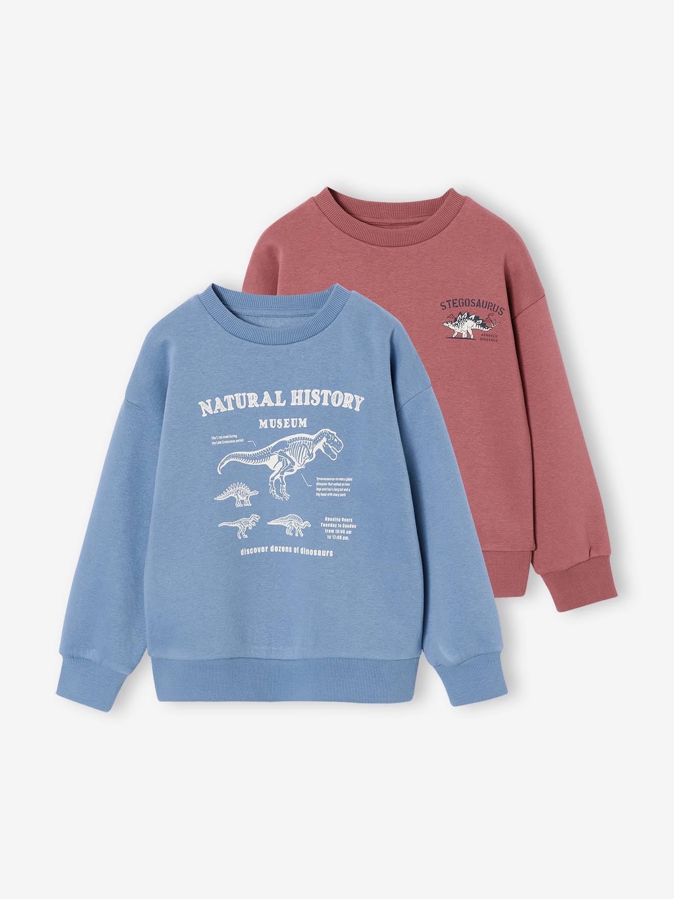 2er-Pack Sweatshirts Cool & Fun Jungen terrakotta Gr. 152 von vertbaudet