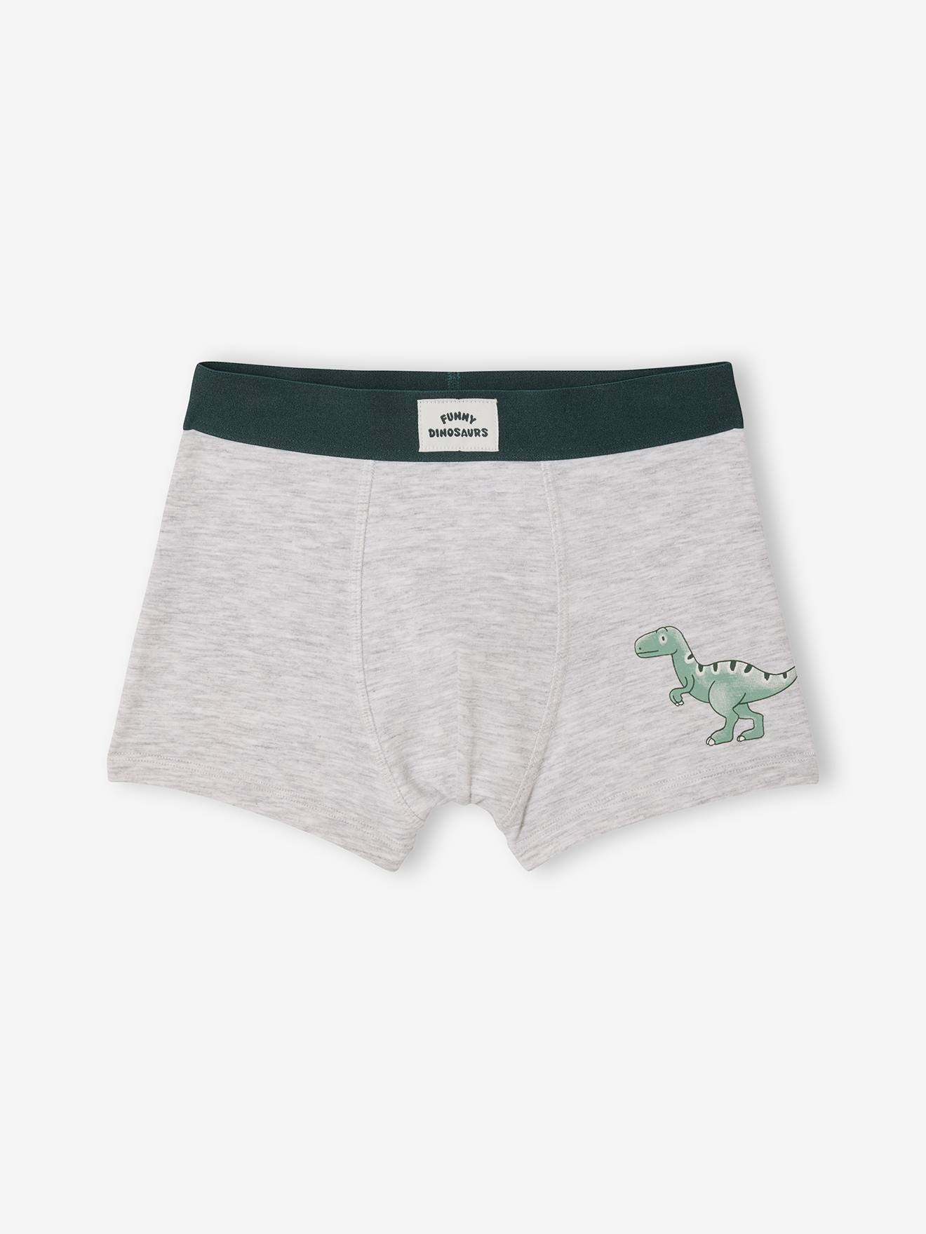 Thumbnail - 5er-Pack Boxershorts DINO
