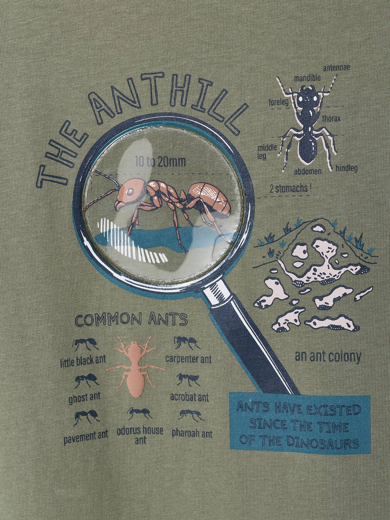 Thumbnail - Kinder T-Shirt zum Entdecken