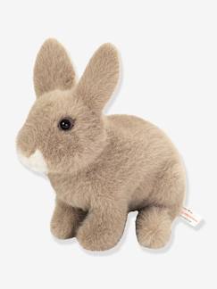 Teddy