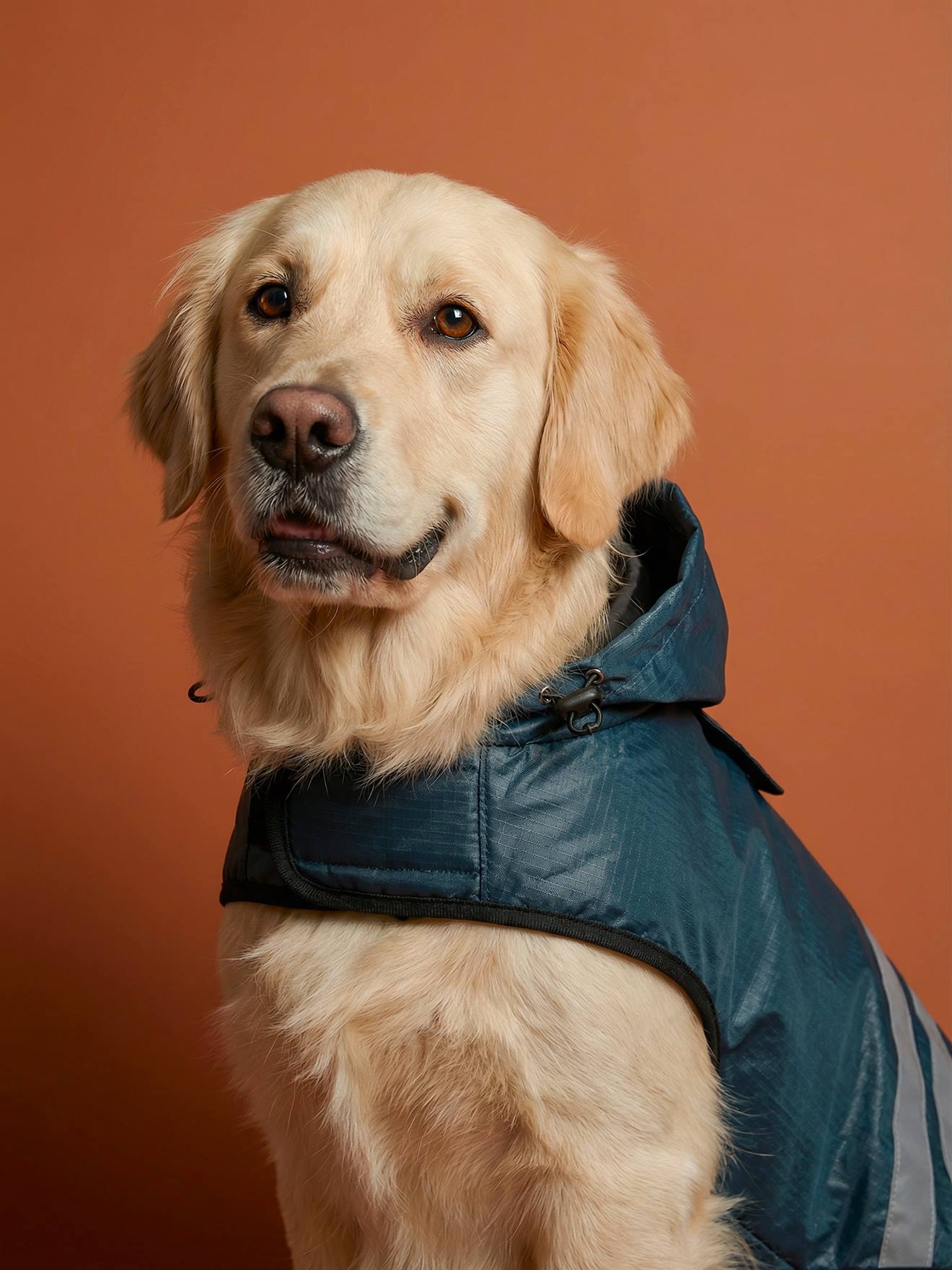 Wasserdichter Hunde Regenmantel mit Reflektorstreifen