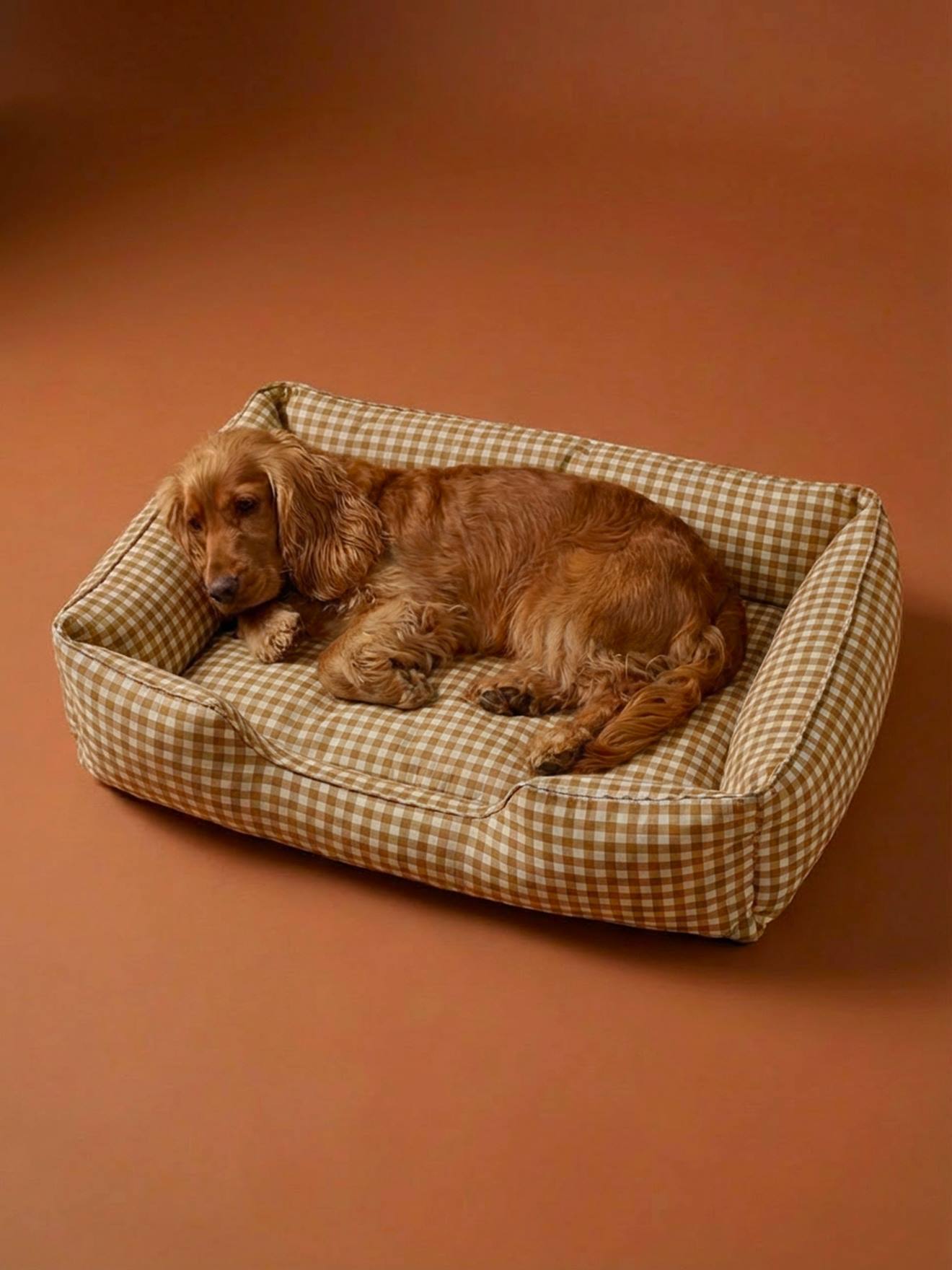 Hundebett mit herausnehmbarem Kissen