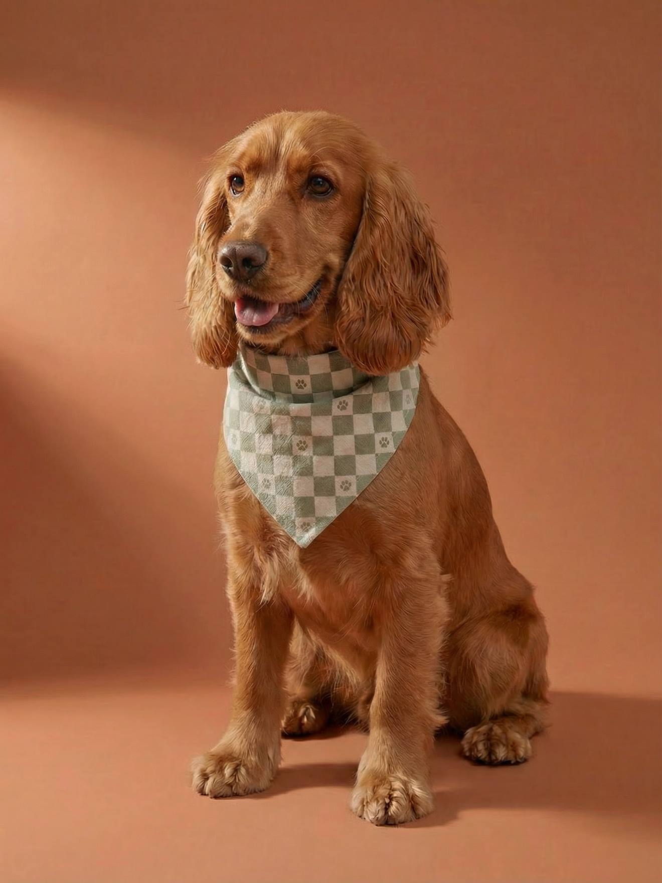 Bandana für Hunde aus Baumwolle