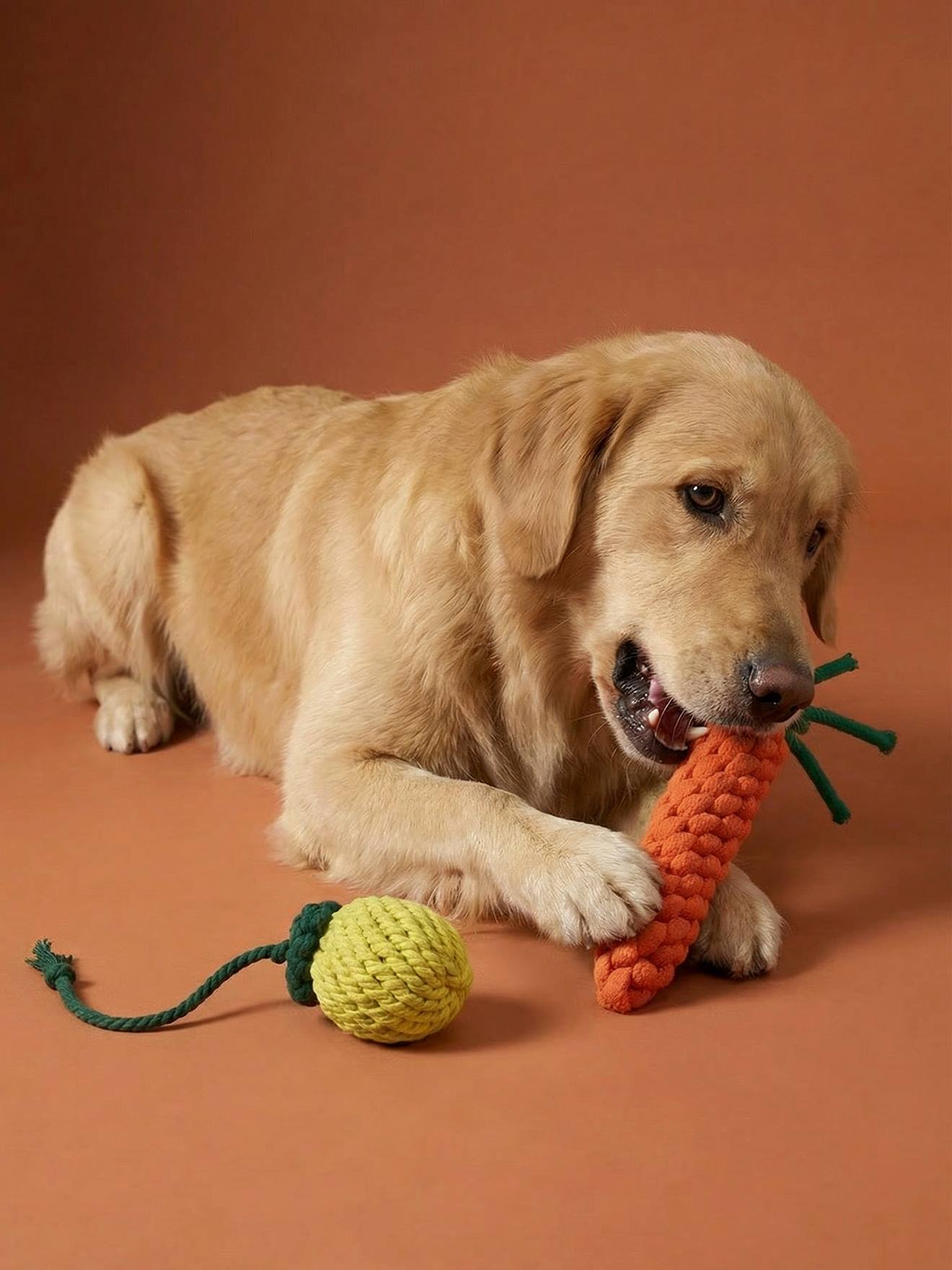 Hundespielzeug-Set aus Seil