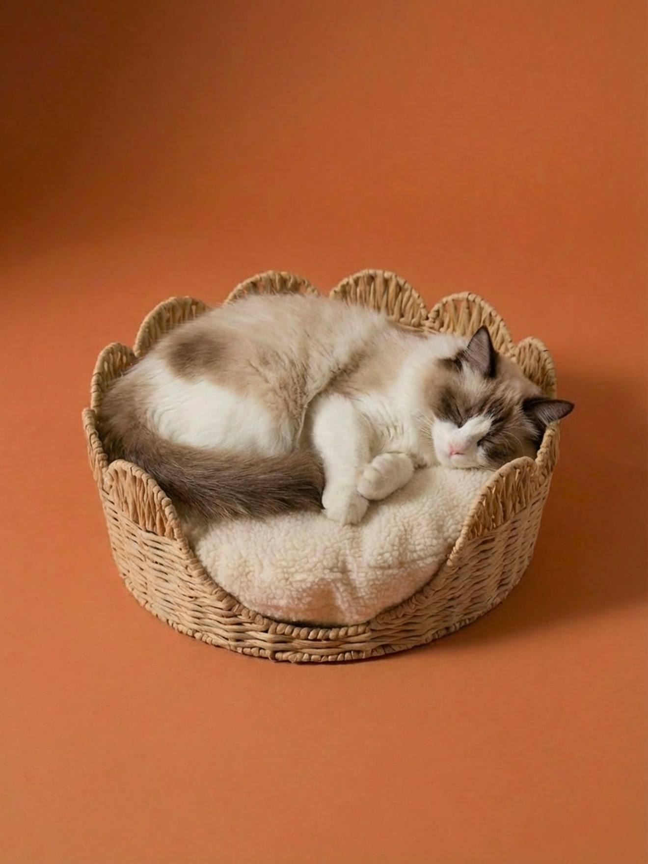 Hunde-/Katzenkorb geflochten mit Kissen FESTON, Papierkordel beige von vertbaudet