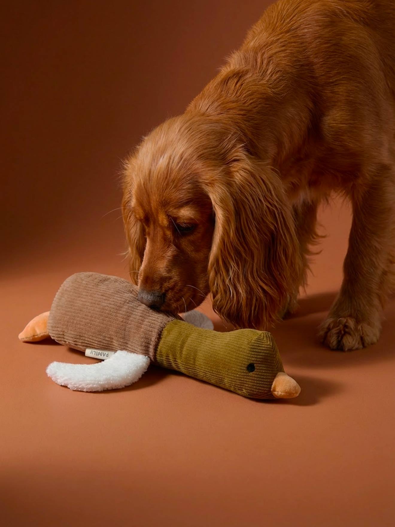 Vertbaudet Hundespielzeug Ente Mit Quietsche Und Verschiedenen Texturen Hellbraun Einheitsgröße