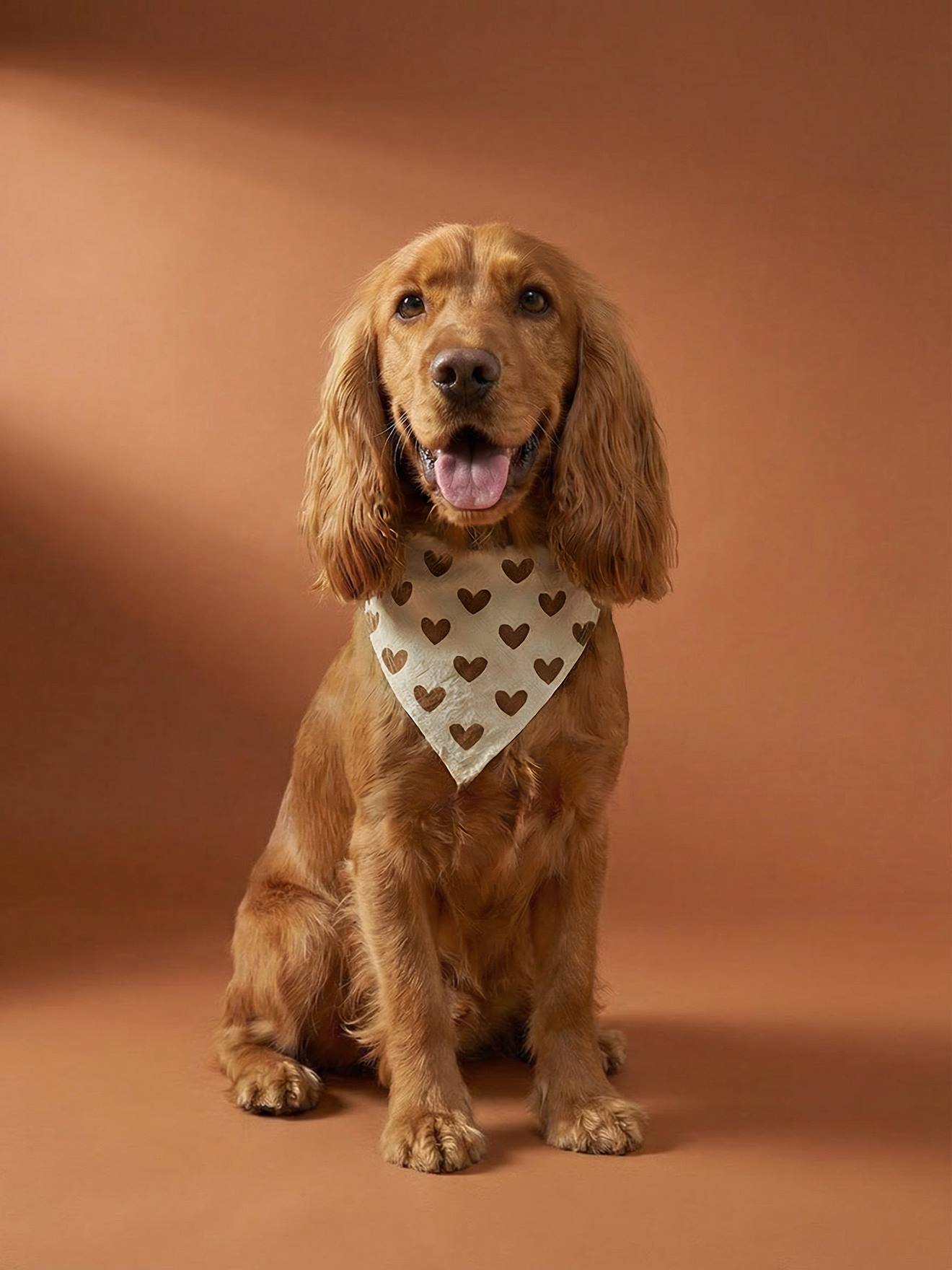Bandana für Hunde aus Baumwolle