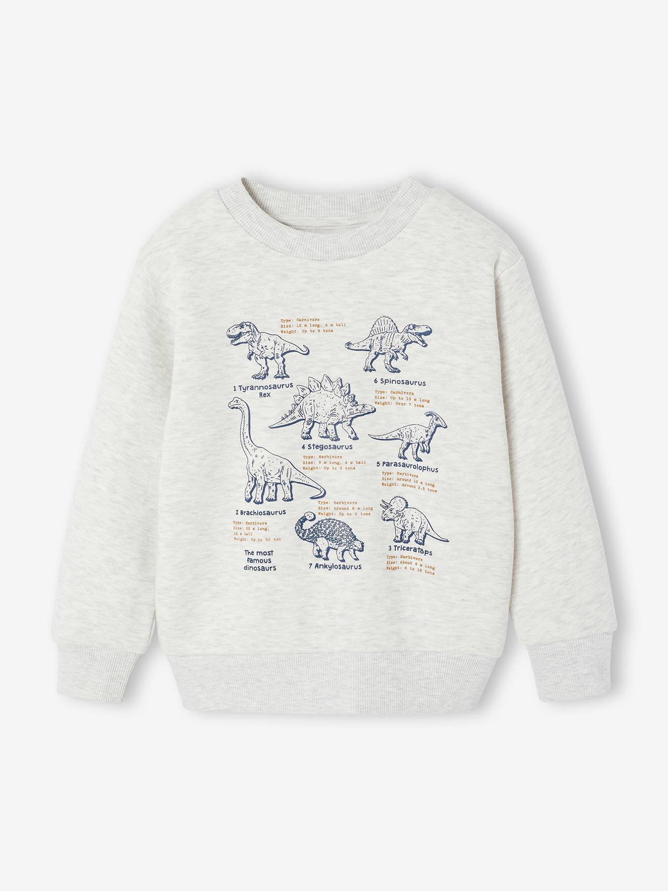 Sweatshirt mit Frontprint Jungen BASIC