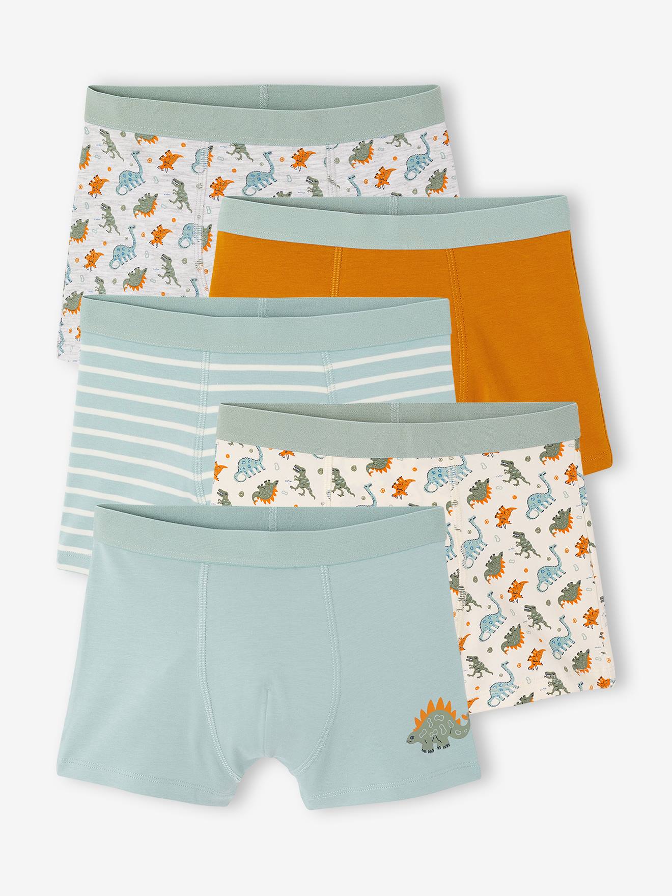 5er-Pack Boxershorts Jungen Dino-Print wasser
