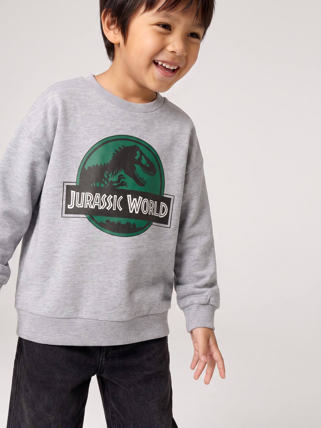 Kinder Sweatshirt JURASSIC WORLD