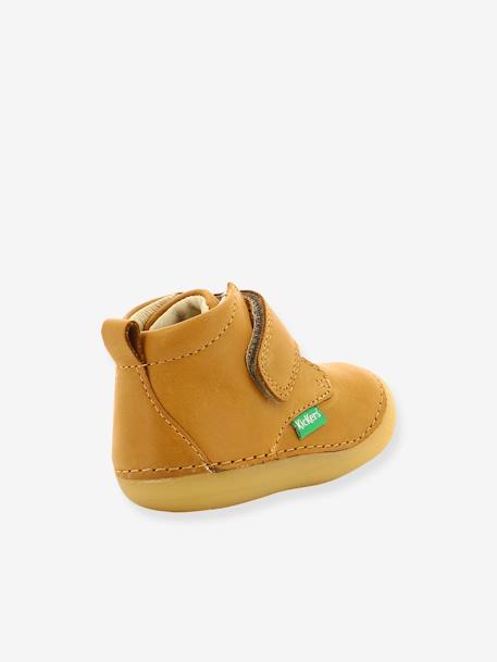 Jungen Baby Boots „Sabio“ KICKERS® - camelfarben+dunkelbraun+marine - 4
