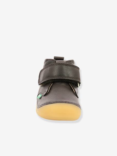 Jungen Baby Boots „Sabio“ KICKERS® - camelfarben+dunkelbraun+marine - 12