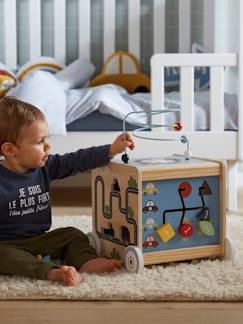 Spielzeug-Baby-Tasten & Greifen-Activity-Würfel zum Nachziehen „Kleine Autos“, Holz FSC