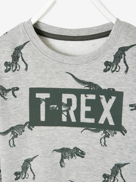 Jungen Sweatshirt, Dinosaurier Oeko Tex - grau meliert - 3