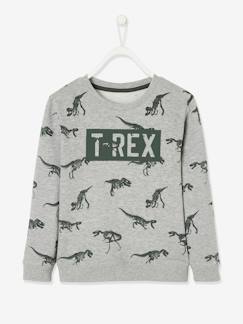 Jungenkleidung-Pullover, Strickjacken, Sweatshirts-Sweatshirts-Jungen Sweatshirt, Dinosaurier Oeko Tex®