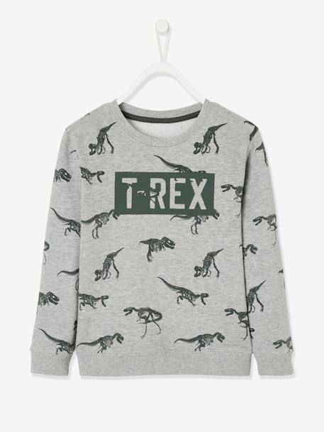 Jungen Sweatshirt, Dinosaurier Oeko Tex - grau meliert - 1
