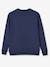 Capsule Kollektion: Damen Sweatshirt - blaugrau - 2