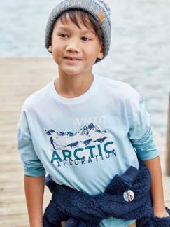 Jungenkleidung-Shirts, Poloshirts & Rollkragenpullover-Jungen Shirt ,,Arctic Exploration", Farbverlauf Oeko Tex®