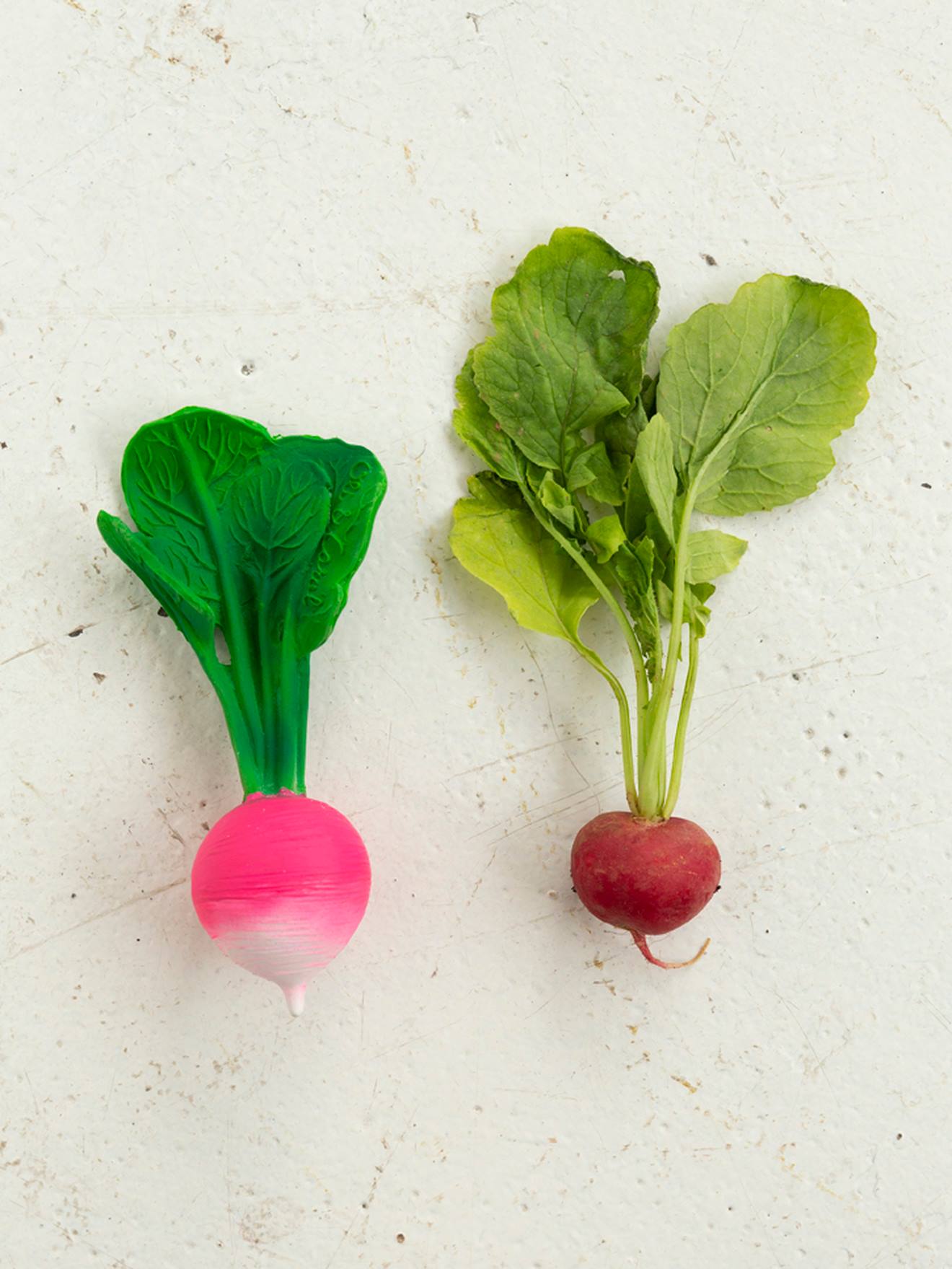 Thumbnail - Zahnungshilfe RAMONA RADIESCHEN OLI & CAROL