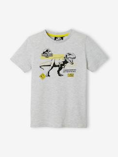 Jungenkleidung-Jungen T-Shirt JURASSIC WORLD