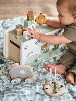 Spielzeug-Baby-Tasten & Greifen-Kinder Spielzeug-Set, Holz FSC®