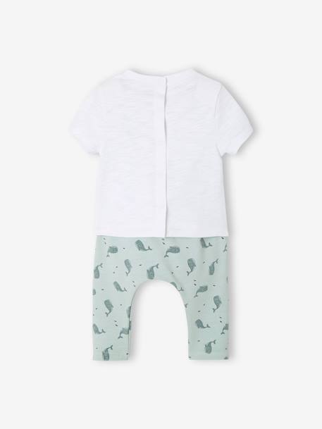 Baby-Set: T-Shirt & Hose, Walmotiv - weiß - 4