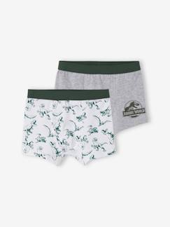 Jungenkleidung-Unterwäsche & Socken-Unterhosen & Boxershorts-2er-Pack Jungen Boxershorts JURASSIC WORLD