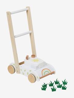Spielzeug-Spielzeug für draußen-Spiele für den Garten-Kinder Rasenmäher aus Holz FSC