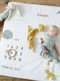 Dekoration & Bettwäsche-Kinderbettwäsche-Baby Meilenstein-Decke „Pandafreunde“, personalisierbar