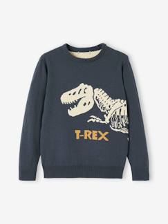 Jungenkleidung-Jungen Pullover, T-Rex Oeko Tex®