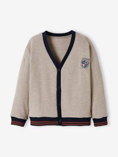 Jungenkleidung-Pullover, Strickjacken, Sweatshirts-Sweatshirts-Jungen Sweatjacke, College-Look