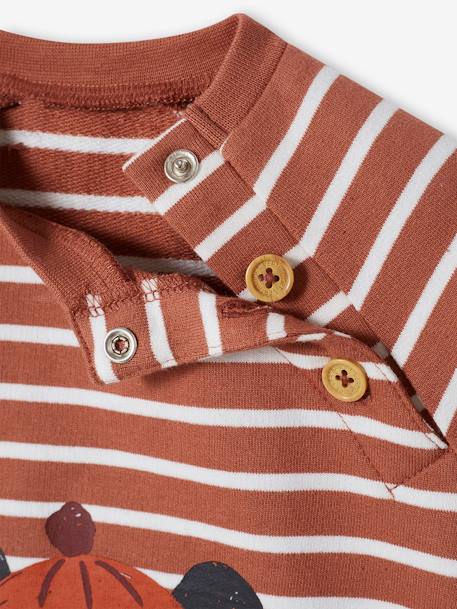 Baby Sweatshirt, Streifen - braun gestreift+grau gestreift - 3