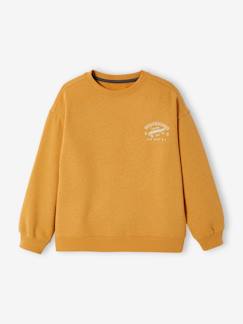 Jungenkleidung-Pullover, Strickjacken, Sweatshirts-Sweatshirts-Jungen Sweatshirt Oeko-Tex®
