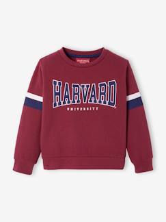 Meine Helden-Jungenkleidung-Jungen Sweatshirt HARVARD