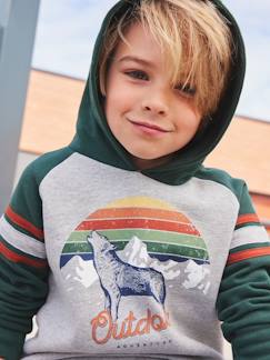 Neue Kollektion-Jungenkleidung-Jungen Kapuzensweatshirt, Kontrastärmel