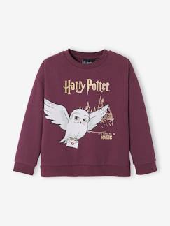 Maedchenkleidung-Pullover, Strickjacken & Sweatshirts-Mädchen Sweatshirt HARRY POTTER
