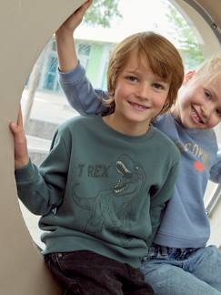 Jungenkleidung-Pullover, Strickjacken, Sweatshirts-Jungen Sweatshirt, XL-Print BASIC