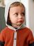 Jungen Baby Cardigan mit Kapuze, Rippenstrick - ziegel - 5