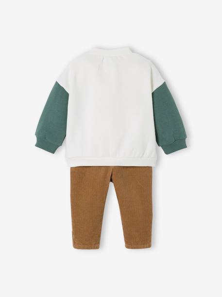 Baby-Set: Sweatshirt & Cordhose - wollweiß - 5