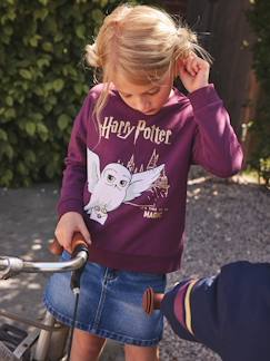 Kinder Sweatshirt HARRY POTTER -  - [numero-image]