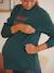 Sweatshirt für Schwangerschaft und Stillzeit, Schriftzug Oeko Tex® - nachtblau+tanne - 15