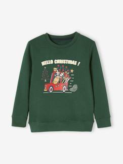 Jungenkleidung-Pullover, Strickjacken, Sweatshirts-Sweatshirts-Jungen Sweatshirt, Weihnachten Oeko-Tex