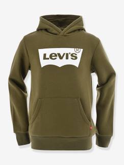 Jungenkleidung-Pullover, Strickjacken, Sweatshirts-Sweatshirts-Jungen Kapuzensweatshirt Levi's