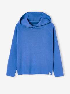 Jungenkleidung-Pullover, Strickjacken, Sweatshirts-Pullover-Jungen Kapuzenpullover Oeko-Tex