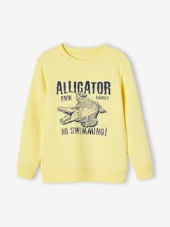 Jungenkleidung-Pullover, Strickjacken, Sweatshirts-Jungen Rundhals-Sweatshirt BASIC