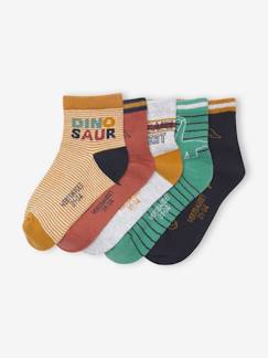 Jungenkleidung-Unterwäsche & Socken-Socken-5er-Pack Jungen Socken, Dinos Oeko-Tex