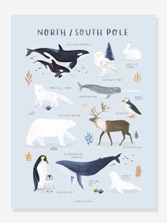 Dekoration & Bettwäsche-Dekoration-Kinderzimmer Poster „Living Earth“ Nordpol/Südpol LILIPINSO