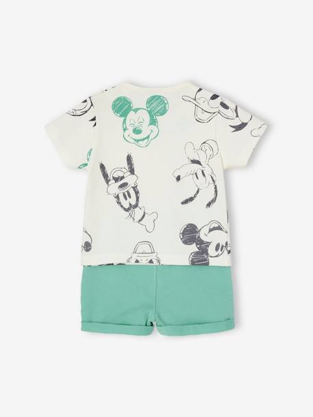 Baby-Set: T-Shirt & Shorts Disney MICKY MAUS - grün bedruckt - 4